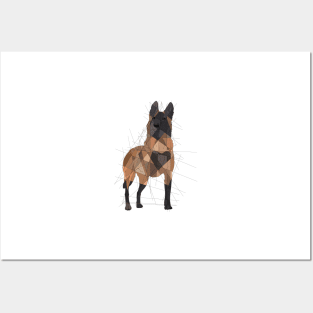 Belgian Malinois Posters and Art